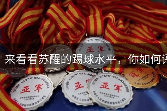 来看看苏醒的踢球水平，你如何评价？